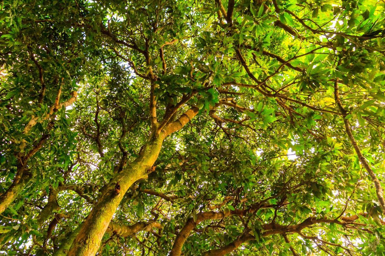 Jardim Da Nova Era 賓館